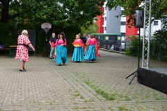 DSC04151